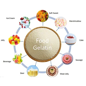 Halal Beef Gelatin Powder High Quality Gelatin for Sausage